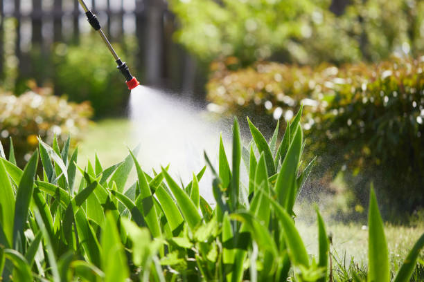 24/7 Emergency Mosquito Control experts in Oswego, NY